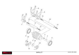 Shift cam - Fantic XXF 250 2022