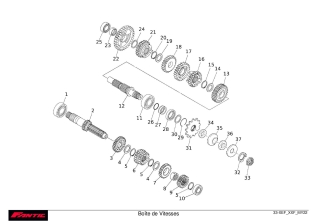 Boîte de Vitesses - FANTIC XXF 250 2022