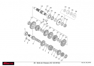 Boîte de Vitesses - FANTIC XE 125 2022