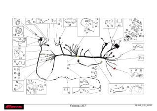 Wiring - FANTIC XEF 250 2022