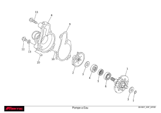 Water pump - Fantic XEF 250 2022